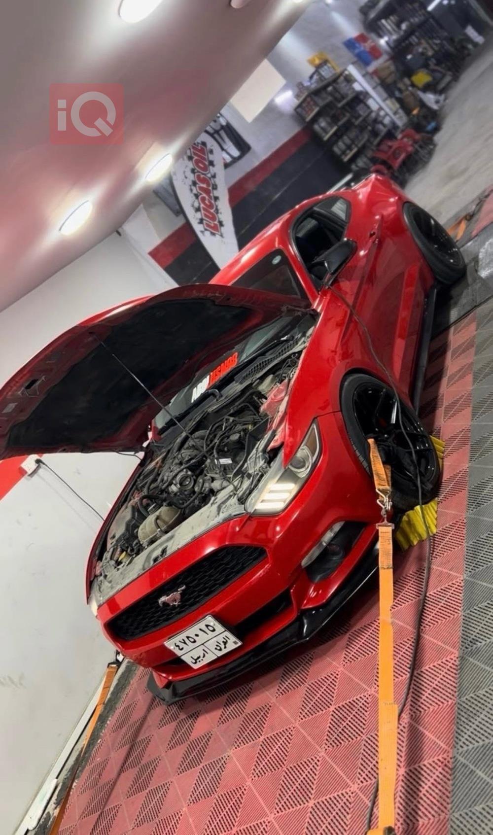 فورد موستانج